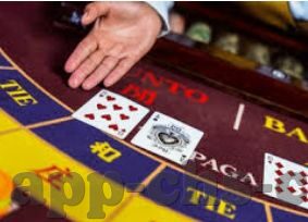500彩票APP下载-深度测评，500彩票APP下下载体验与安全性解析