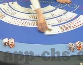 7月11世界杯投注比例-7月11世界杯投注比例，一场激情与策略的碰撞